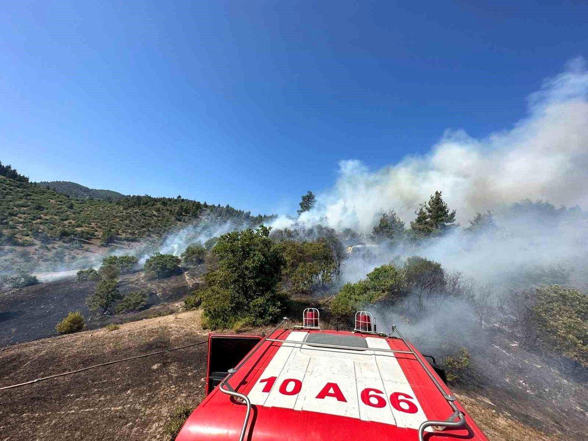 Balıkesir Sındırgı’da Orman Yangını: Ekipler Seferber Oldu